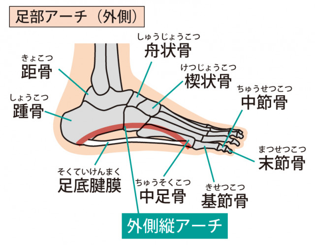 足底筋膜炎の原因は?